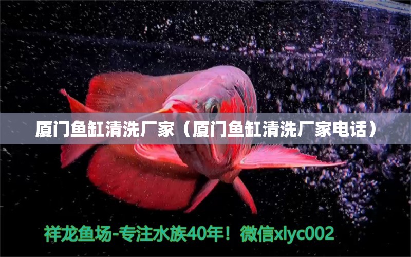 廈門魚缸清洗廠家（廈門魚缸清洗廠家電話）