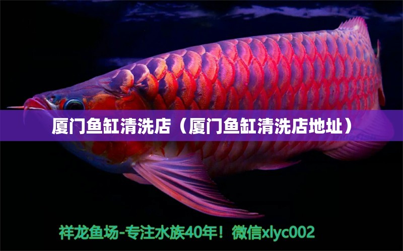 廈門魚缸清洗店（廈門魚缸清洗店地址） 其他品牌魚缸