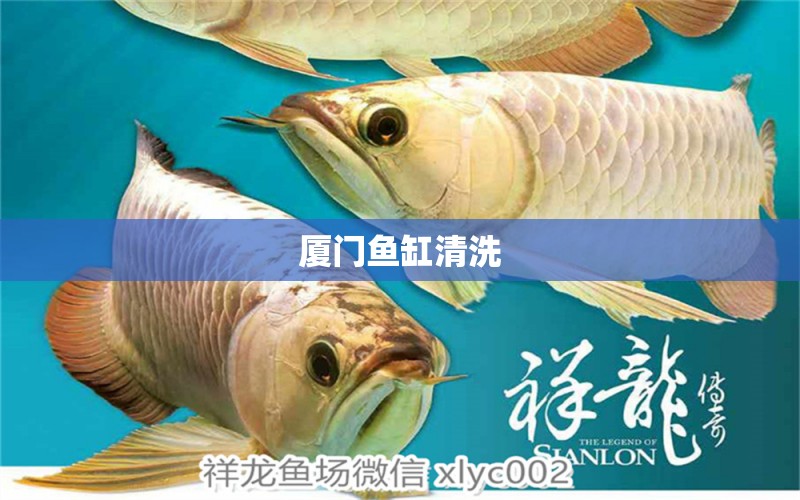 廈門魚缸清洗