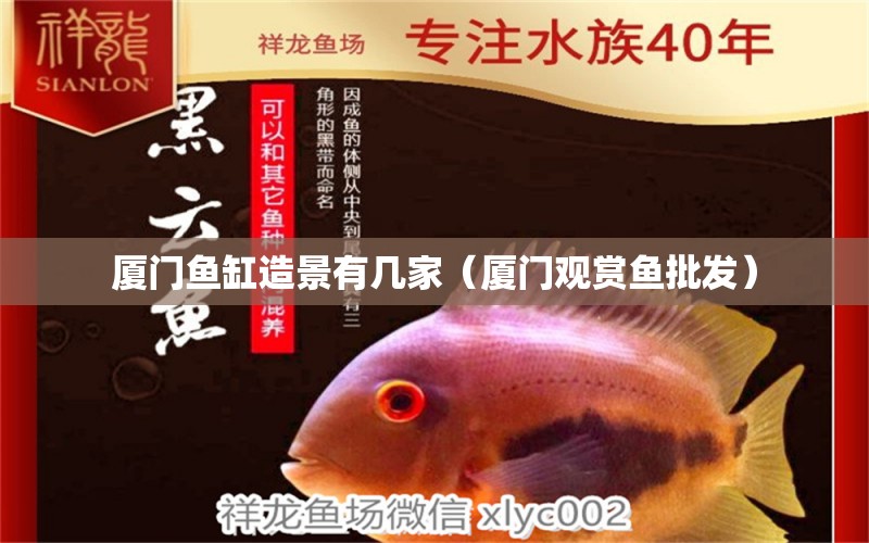 廈門魚缸造景有幾家（廈門觀賞魚批發(fā)）