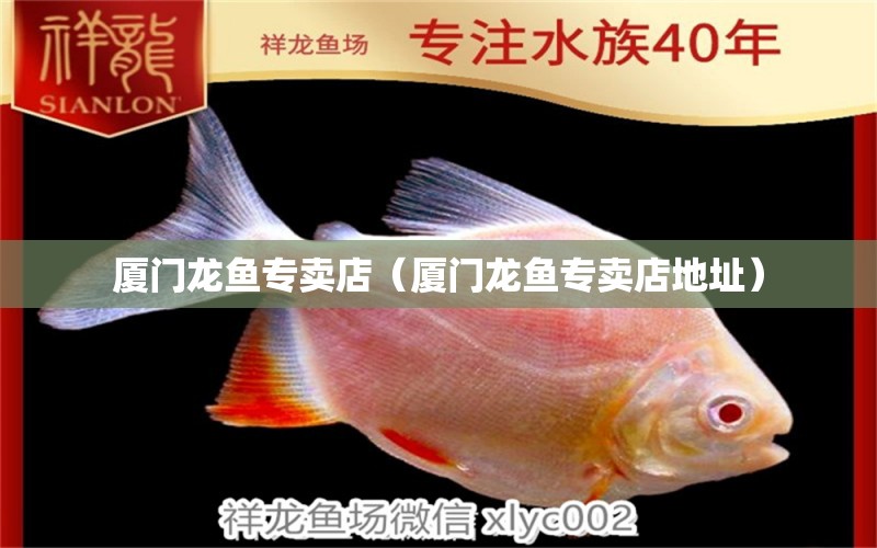 廈門龍魚專賣店（廈門龍魚專賣店地址）