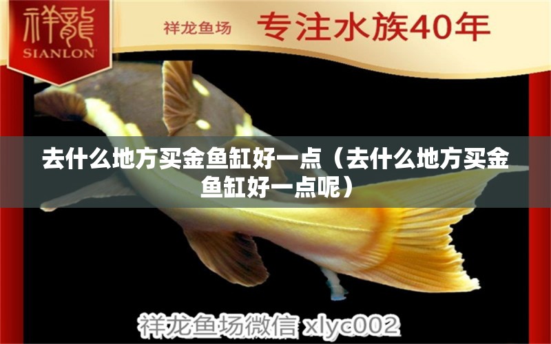 去什么地方買金魚缸好一點(diǎn)（去什么地方買金魚缸好一點(diǎn)呢）