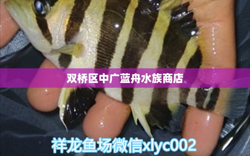 雙橋區(qū)中廣藍(lán)舟水族商店