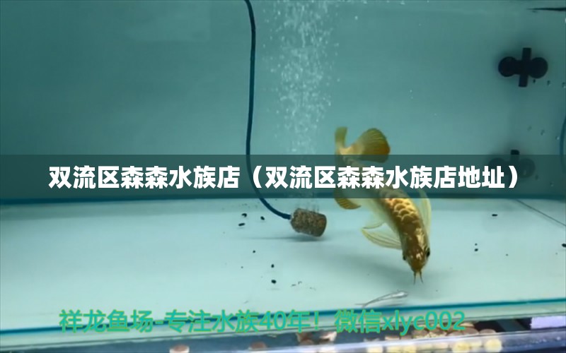 雙流區(qū)森森水族店（雙流區(qū)森森水族店地址） 全國水族館企業(yè)名錄