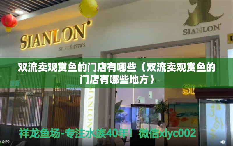 雙流賣觀賞魚的門店有哪些（雙流賣觀賞魚的門店有哪些地方）