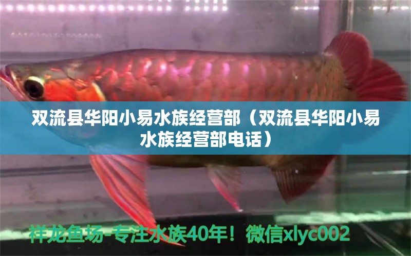 雙流縣華陽小易水族經(jīng)營部（雙流縣華陽小易水族經(jīng)營部電話） 全國水族館企業(yè)名錄