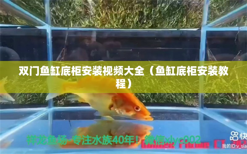 雙門魚缸底柜安裝視頻大全（魚缸底柜安裝教程）