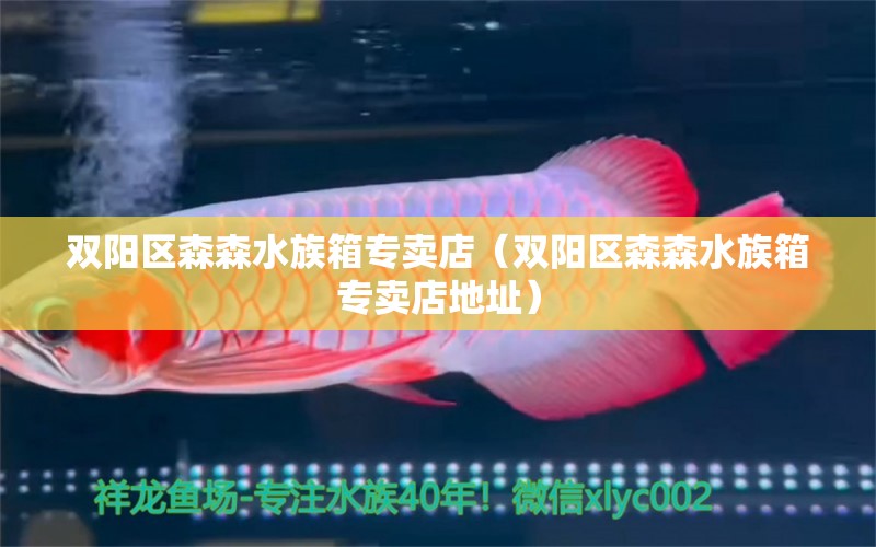 雙陽區(qū)森森水族箱專賣店（雙陽區(qū)森森水族箱專賣店地址）