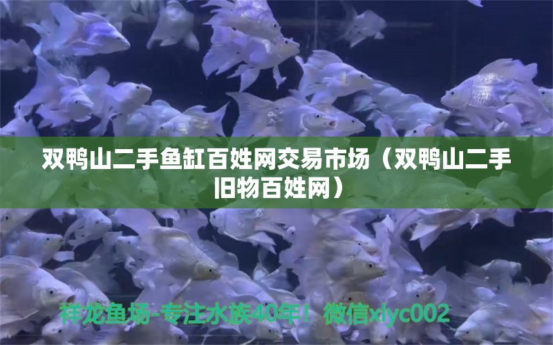 雙鴨山二手魚(yú)缸百姓網(wǎng)交易市場(chǎng)（雙鴨山二手舊物百姓網(wǎng)）