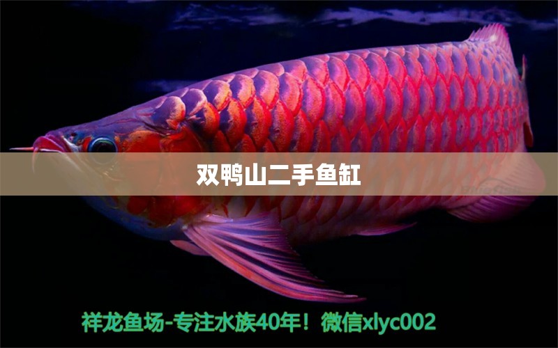 雙鴨山二手魚缸