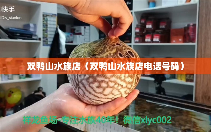 雙鴨山水族店（雙鴨山水族店電話號(hào)碼）