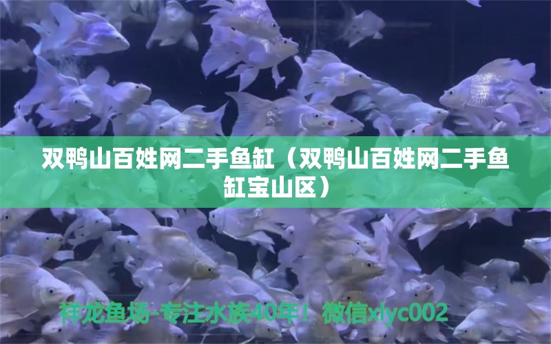 雙鴨山百姓網(wǎng)二手魚缸（雙鴨山百姓網(wǎng)二手魚缸寶山區(qū)） 其他品牌魚缸