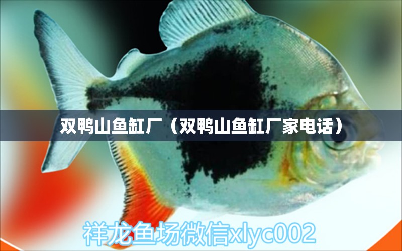 雙鴨山魚缸廠（雙鴨山魚缸廠家電話）