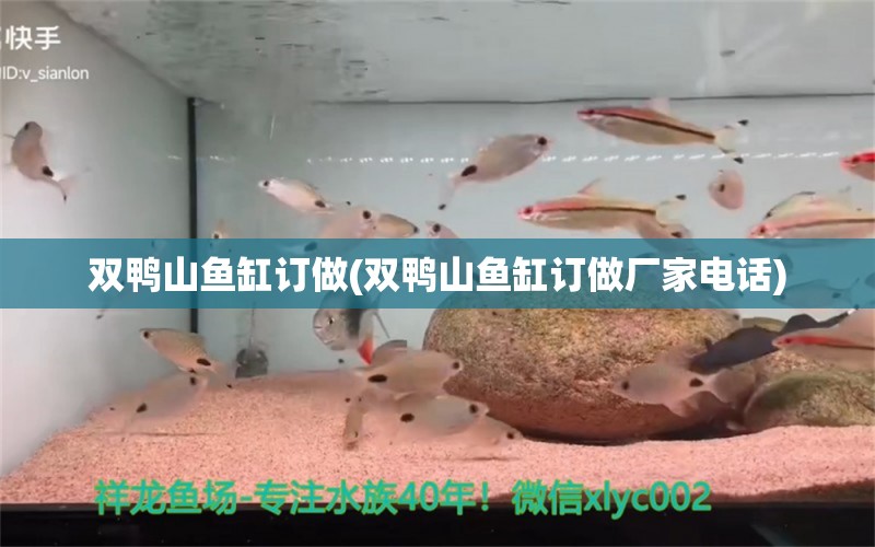 雙鴨山魚缸訂做(雙鴨山魚缸訂做廠家電話)