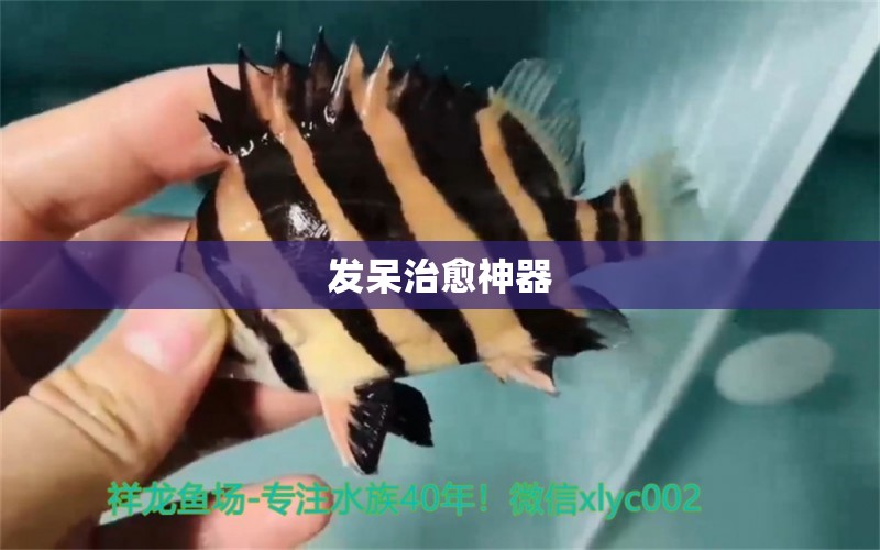 發(fā)呆治愈神器 祥龍水族護(hù)理水