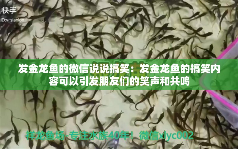 發(fā)金龍魚的微信說說搞笑：發(fā)金龍魚的搞笑內(nèi)容可以引發(fā)朋友們的笑聲和共鳴 水族問答 第1張