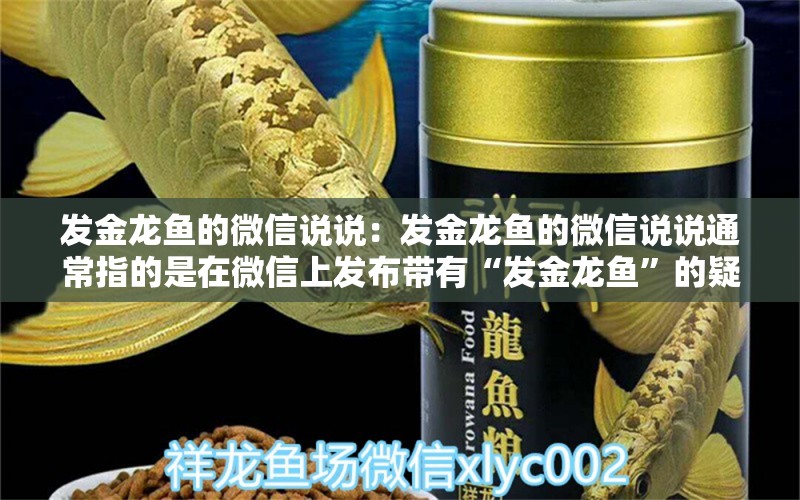 發(fā)金龍魚的微信說說：發(fā)金龍魚的微信說說通常指的是在微信上發(fā)布帶有“發(fā)金龍魚”的疑問句 水族問答 第2張