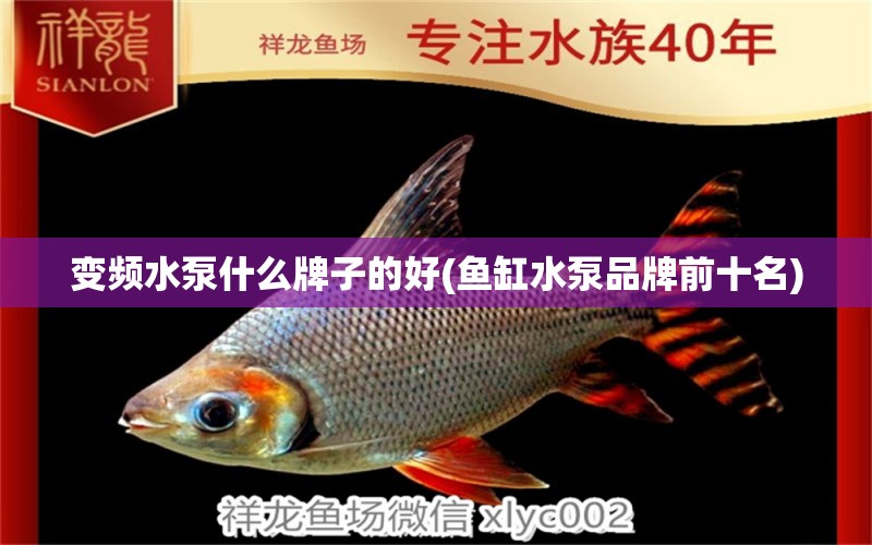 變頻水泵什么牌子的好(魚缸水泵品牌前十名)