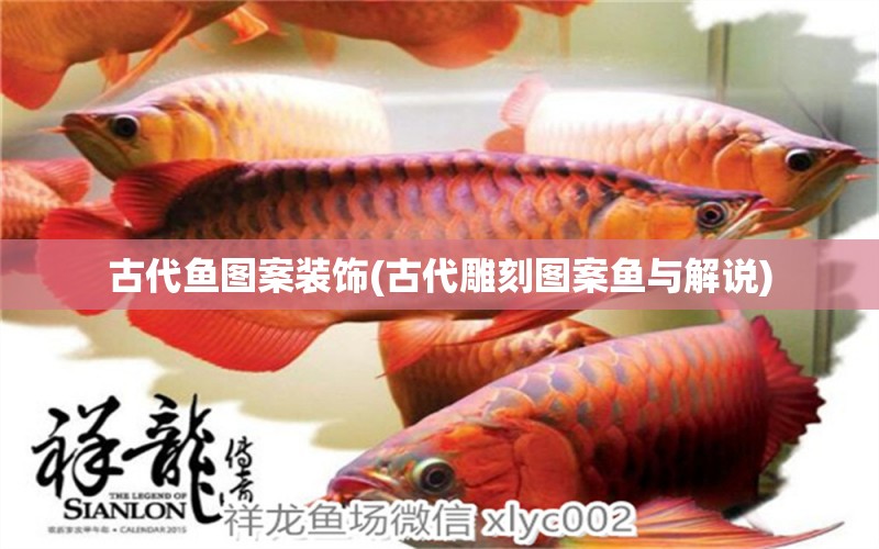 古代魚圖案裝飾(古代雕刻圖案魚與解說) 黃吉金龍（白子金龍魚）