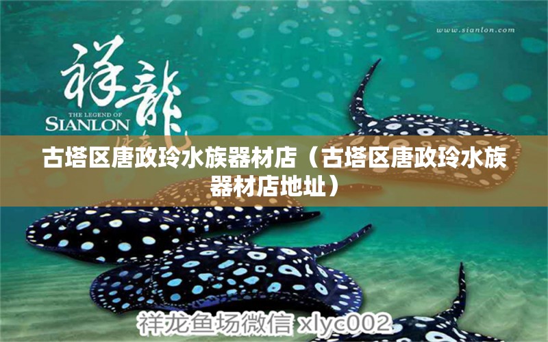 古塔區(qū)唐政玲水族器材店（古塔區(qū)唐政玲水族器材店地址）