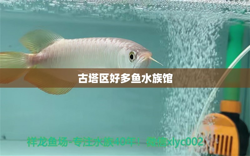 古塔區(qū)好多魚水族館 全國水族館企業(yè)名錄