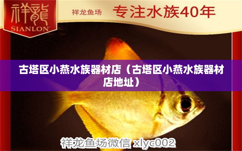 古塔區(qū)小燕水族器材店（古塔區(qū)小燕水族器材店地址） 全國(guó)水族館企業(yè)名錄