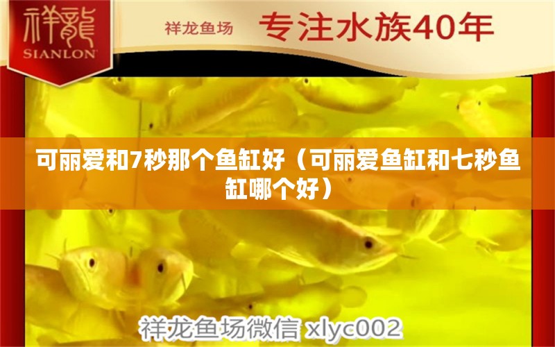 可麗愛和7秒那個魚缸好（可麗愛魚缸和七秒魚缸哪個好）