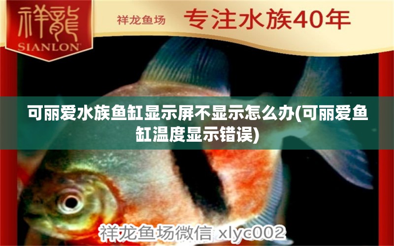 可麗愛水族魚缸顯示屏不顯示怎么辦(可麗愛魚缸溫度顯示錯誤) 一眉道人魚苗