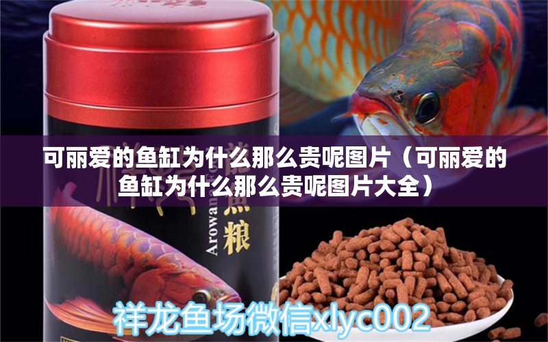 可麗愛的魚缸為什么那么貴呢圖片（可麗愛的魚缸為什么那么貴呢圖片大全） iwish愛唯希品牌魚缸