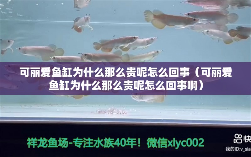 可麗愛魚缸為什么那么貴呢怎么回事（可麗愛魚缸為什么那么貴呢怎么回事?。? title=