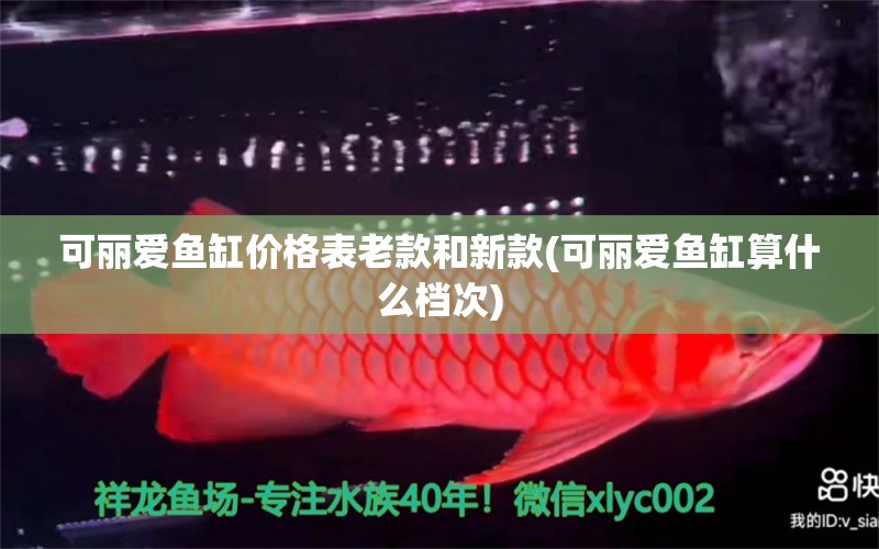 可麗愛魚缸價格表老款和新款(可麗愛魚缸算什么檔次) 恐龍王魚