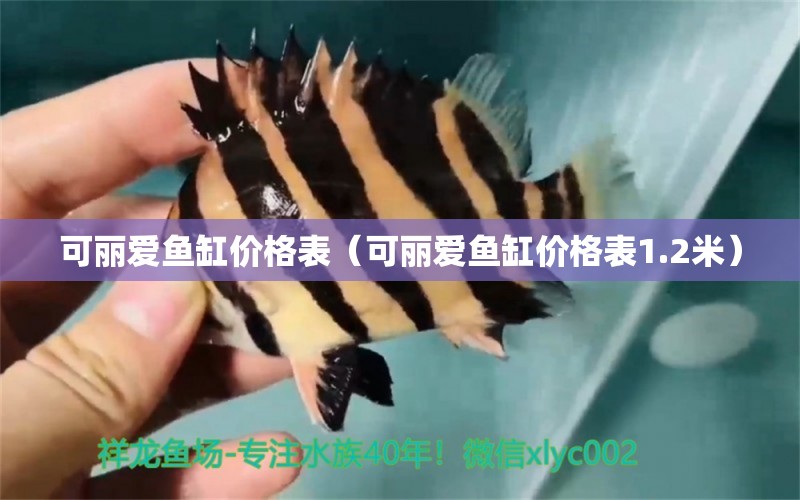 可麗愛魚缸價格表（可麗愛魚缸價格表1.2米）