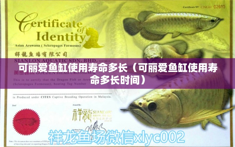 可麗愛魚缸使用壽命多長（可麗愛魚缸使用壽命多長時間） iwish愛唯希品牌魚缸