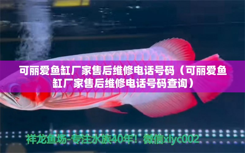 可麗愛(ài)魚缸廠家售后維修電話號(hào)碼（可麗愛(ài)魚缸廠家售后維修電話號(hào)碼查詢） iwish愛(ài)唯希品牌魚缸