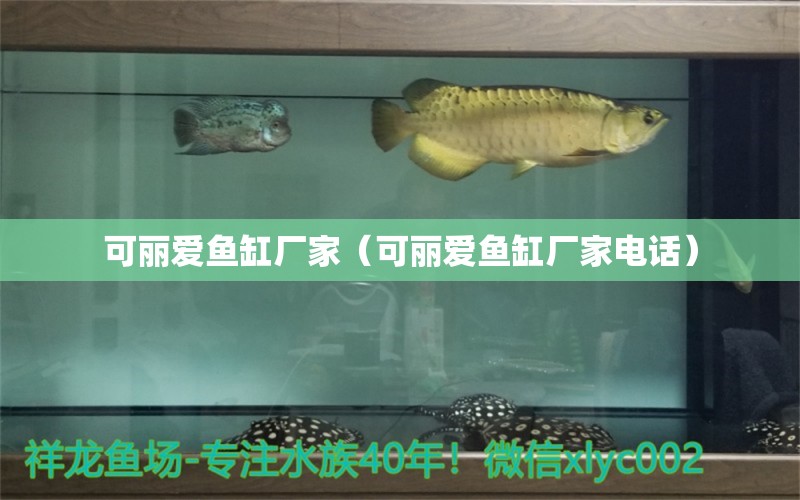 可麗愛魚缸廠家（可麗愛魚缸廠家電話） iwish愛唯希品牌魚缸