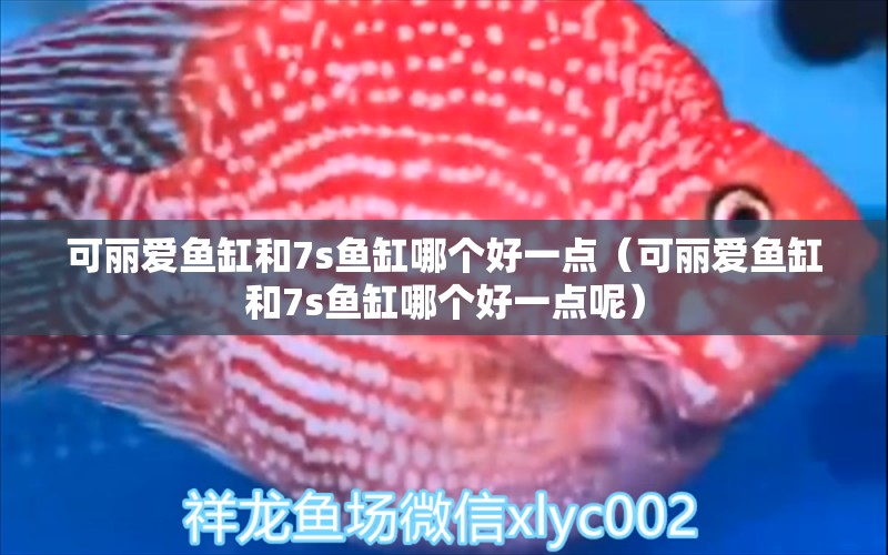 可麗愛魚缸和7s魚缸哪個好一點（可麗愛魚缸和7s魚缸哪個好一點呢）