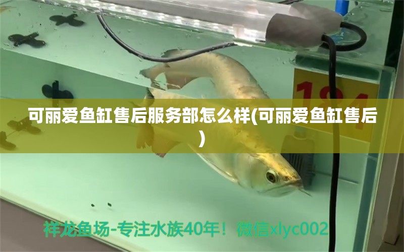 可麗愛魚缸售后服務(wù)部怎么樣(可麗愛魚缸售后) 錦鯉魚