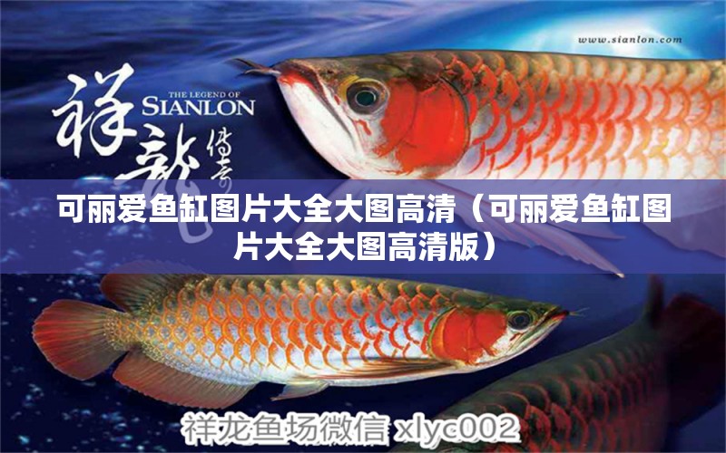 可麗愛(ài)魚缸圖片大全大圖高清（可麗愛(ài)魚缸圖片大全大圖高清版）