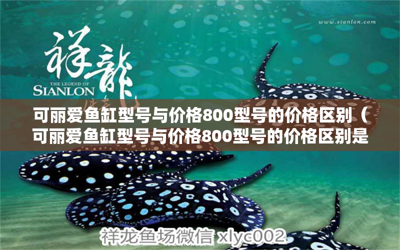 可麗愛(ài)魚(yú)缸型號(hào)與價(jià)格800型號(hào)的價(jià)格區(qū)別（可麗愛(ài)魚(yú)缸型號(hào)與價(jià)格800型號(hào)的價(jià)格區(qū)別是什么） 祥龍水族醫(yī)院