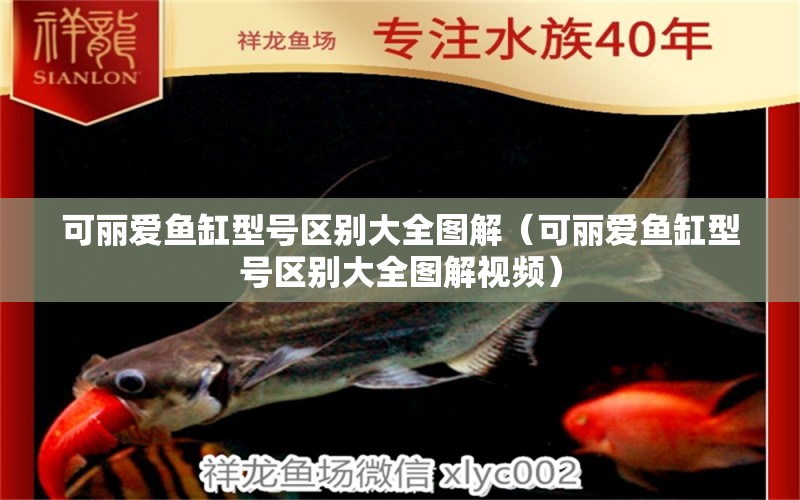 可麗愛魚缸型號區(qū)別大全圖解（可麗愛魚缸型號區(qū)別大全圖解視頻）