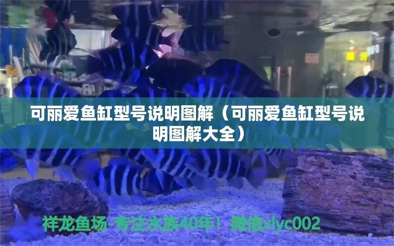 可麗愛魚缸型號說明圖解（可麗愛魚缸型號說明圖解大全） iwish愛唯希品牌魚缸