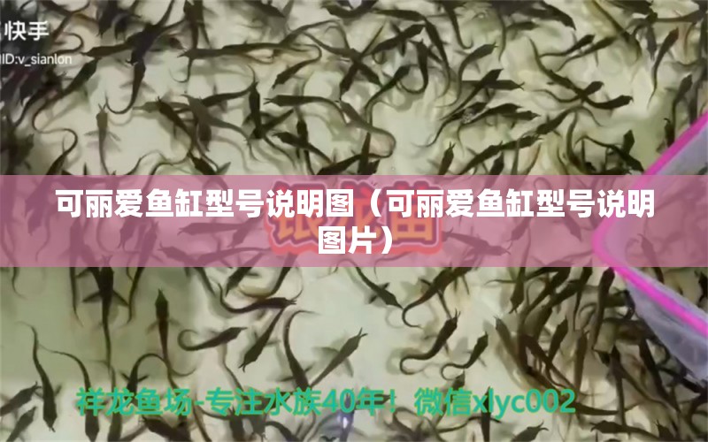 可麗愛魚缸型號說明圖（可麗愛魚缸型號說明圖片）