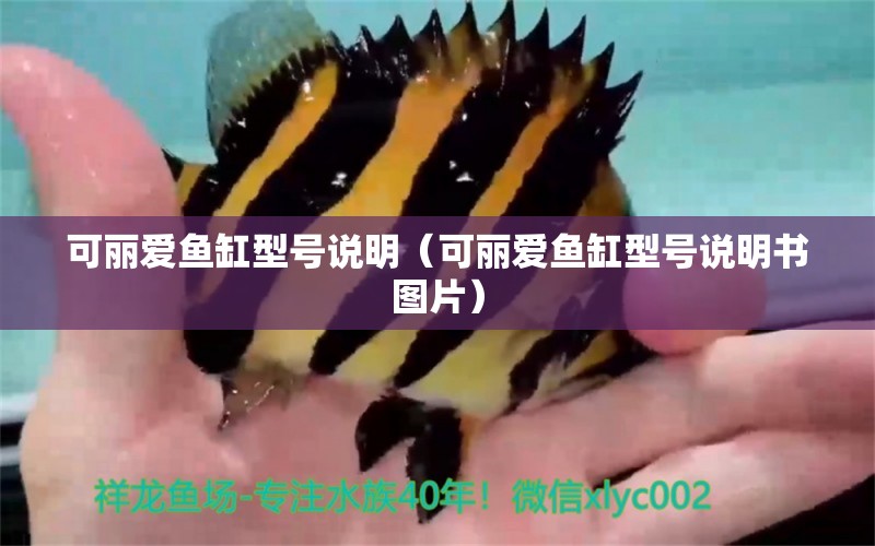 可麗愛魚缸型號說明（可麗愛魚缸型號說明書圖片）