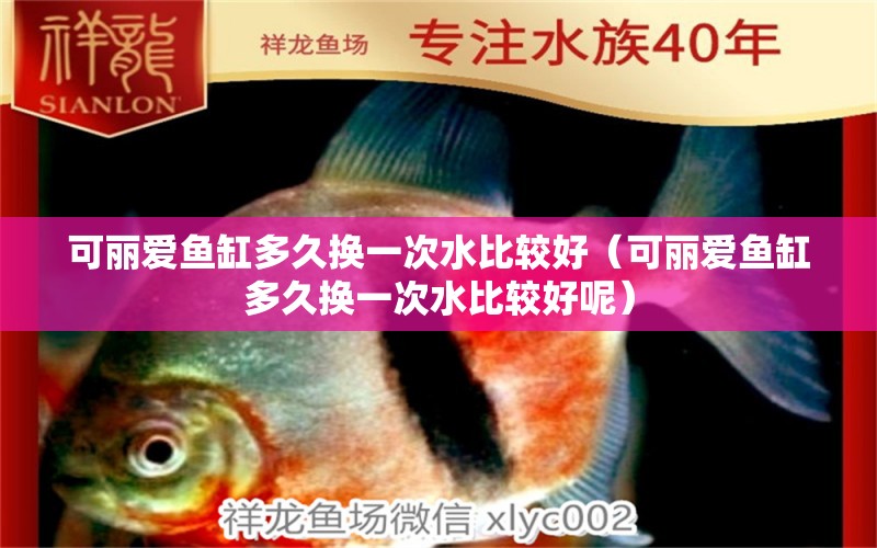 可麗愛(ài)魚(yú)缸多久換一次水比較好（可麗愛(ài)魚(yú)缸多久換一次水比較好呢）