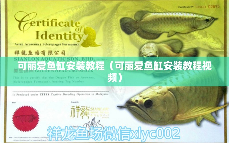 可麗愛魚缸安裝教程（可麗愛魚缸安裝教程視頻）