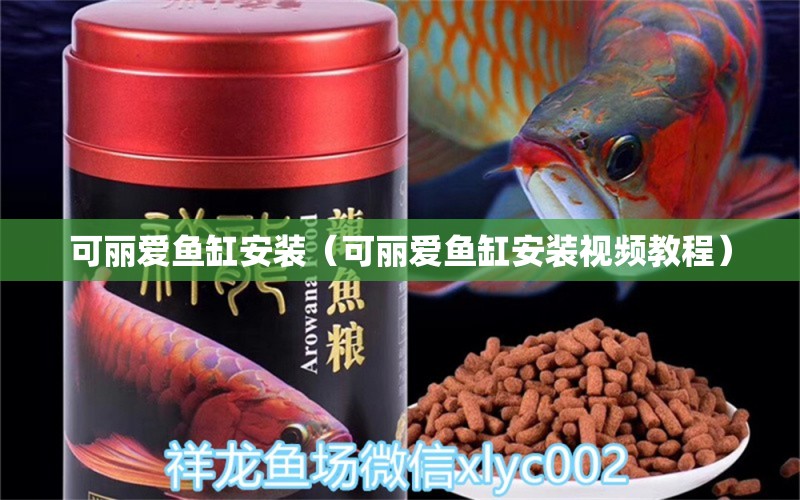 可麗愛魚缸安裝（可麗愛魚缸安裝視頻教程）