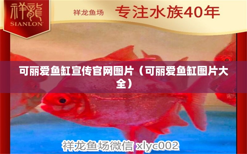 可麗愛魚缸宣傳官網(wǎng)圖片（可麗愛魚缸圖片大全） iwish愛唯希品牌魚缸