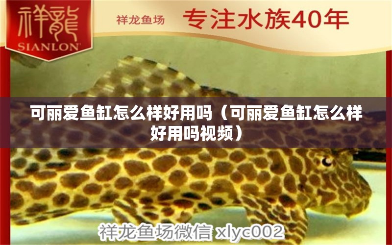 可麗愛魚缸怎么樣好用嗎（可麗愛魚缸怎么樣好用嗎視頻）