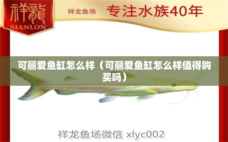 可麗愛魚缸怎么樣（可麗愛魚缸怎么樣值得購買嗎）