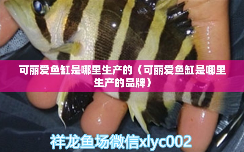 可麗愛魚缸是哪里生產(chǎn)的（可麗愛魚缸是哪里生產(chǎn)的品牌） iwish愛唯希品牌魚缸